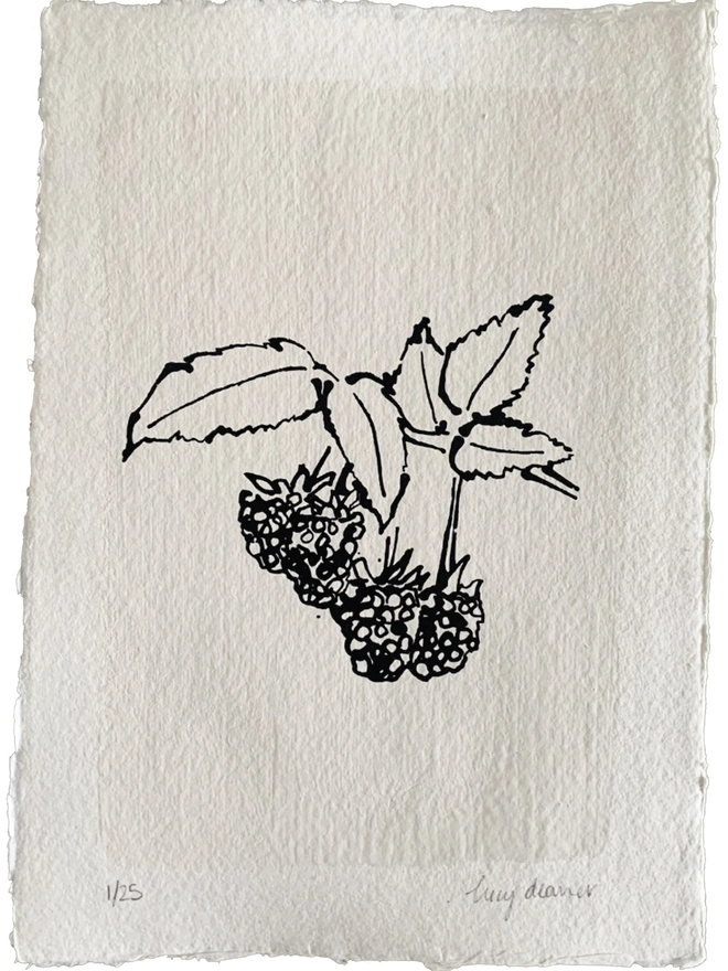 Garden Fruit Raspberries Screenprint